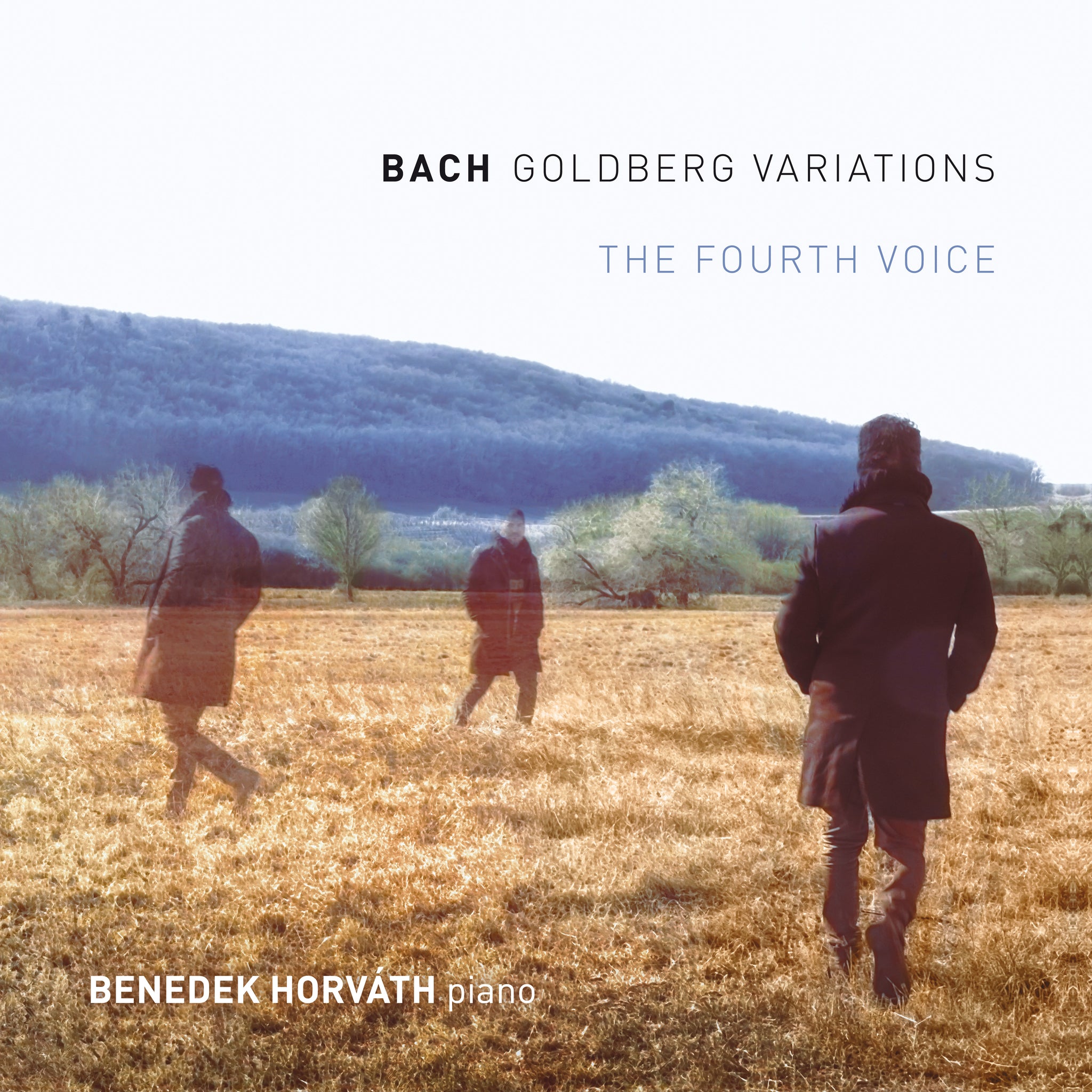 Benedek Horvath - Bach Goldberg Variations, The Fourth Voice
